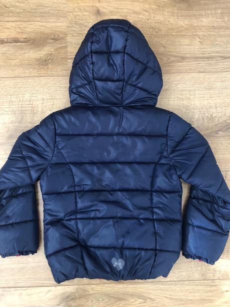 Modrá bunda, palomino,122