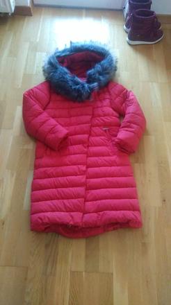 Cervena bunda, s