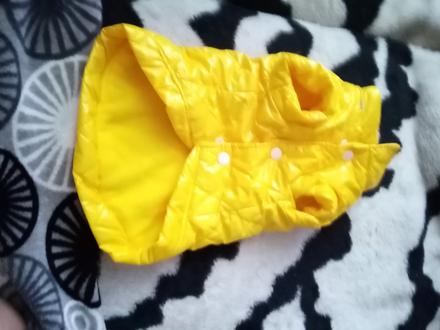 Oblecenie pre psíka,