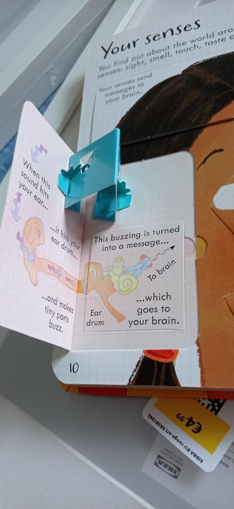 Usborne your body flap book,