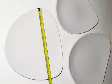 Taniere - asa selection germany, 34 cm, 