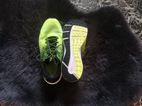 Tenisky carimor 43, 43