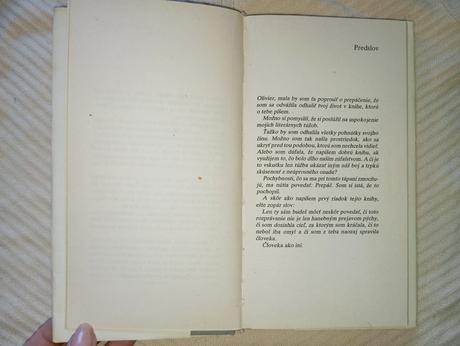 Simonne fabienová - budeš ako iní, 