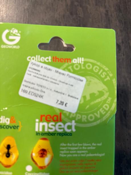 Geoworld - vykop a objav pavúk a mravec, 