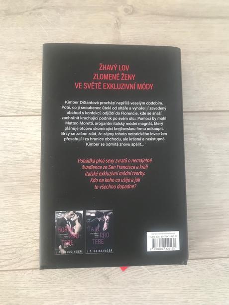 Kniha toužim po tobe j.t.geissinger,