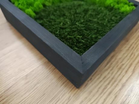 Machový obraz / kus lesa, ktorý nikdy nezvädne, 