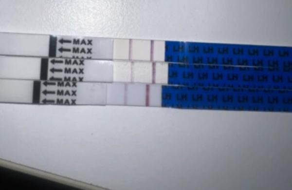 Aká je značka ovulačného testu?