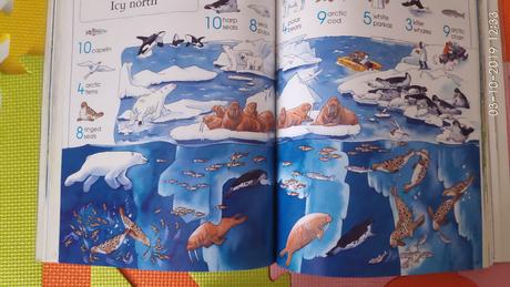 Thousands of things to spot 258 stran top stav a,