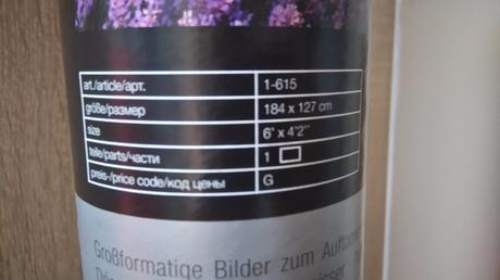 Nová fototapeta - levandulové pole, 