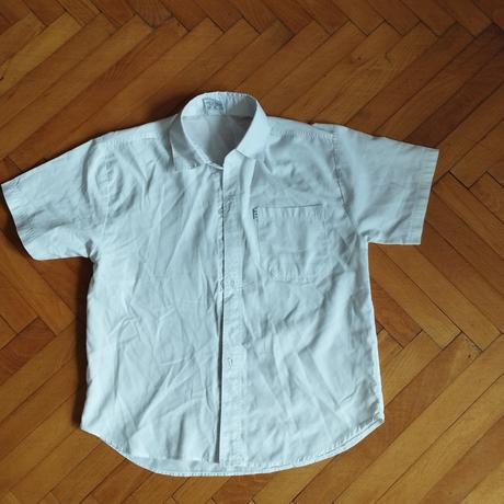 Košeľa bavlna, kookai,146