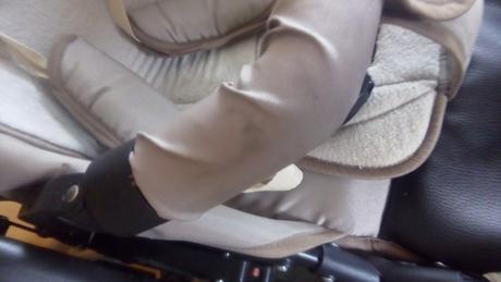 Kočik, tako,tako captiva mohican