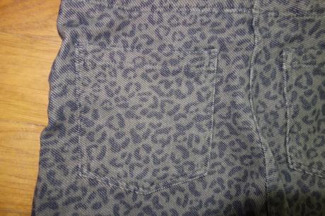 Džegínsy 110-116, 110