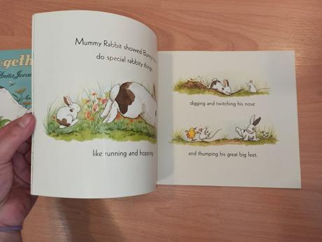 Anita jeram bunny / all together zositkove, 