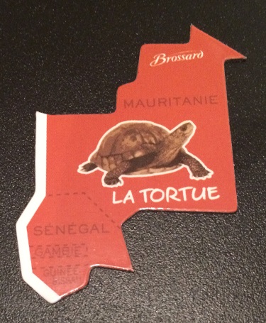 Magnetky zvieratiek afrika 19x21 cm,