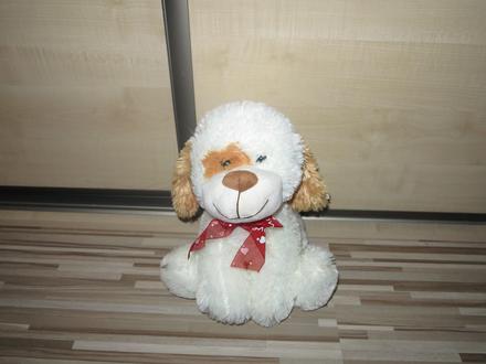 Väčší bielo-hnedý pes,