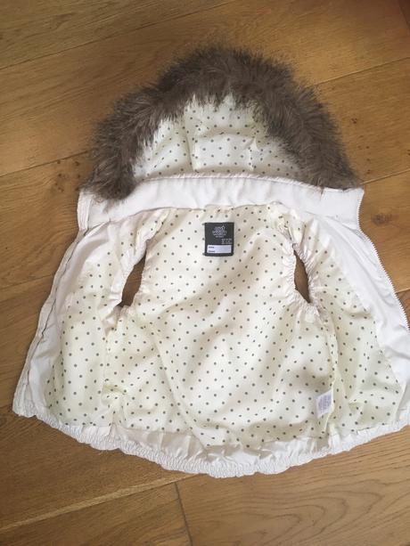 Vesta lindex, lindex,110