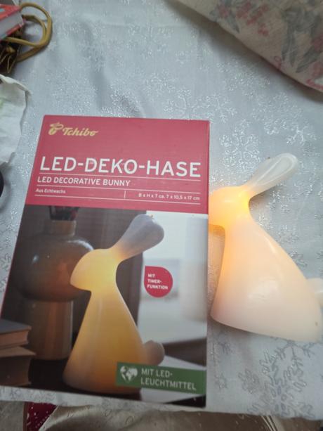 Lampa zajac,