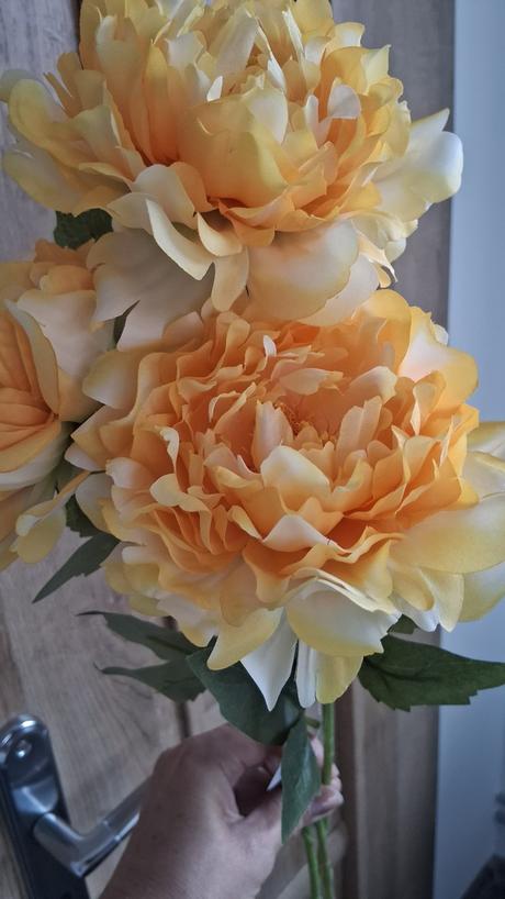 3ks žlté pivónie, 