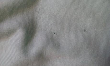 Šatičky na 1rok., pepco,80