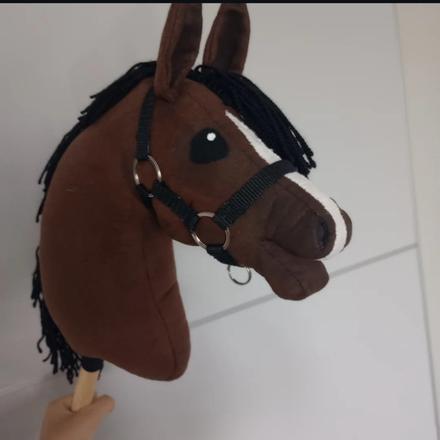 Handmade hobby horse,