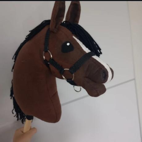 Handmade hobby horse, 