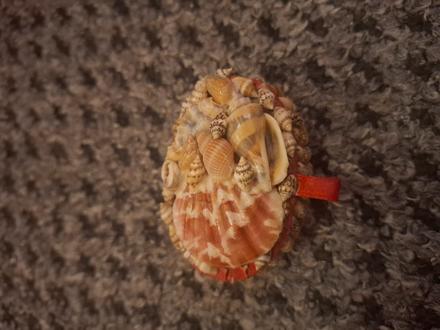 Malá šperkovnica s mušľami, 