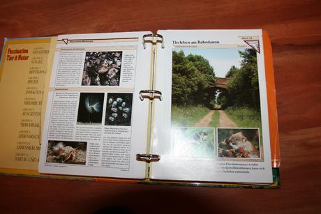 Fascination tier und natur kniha, 