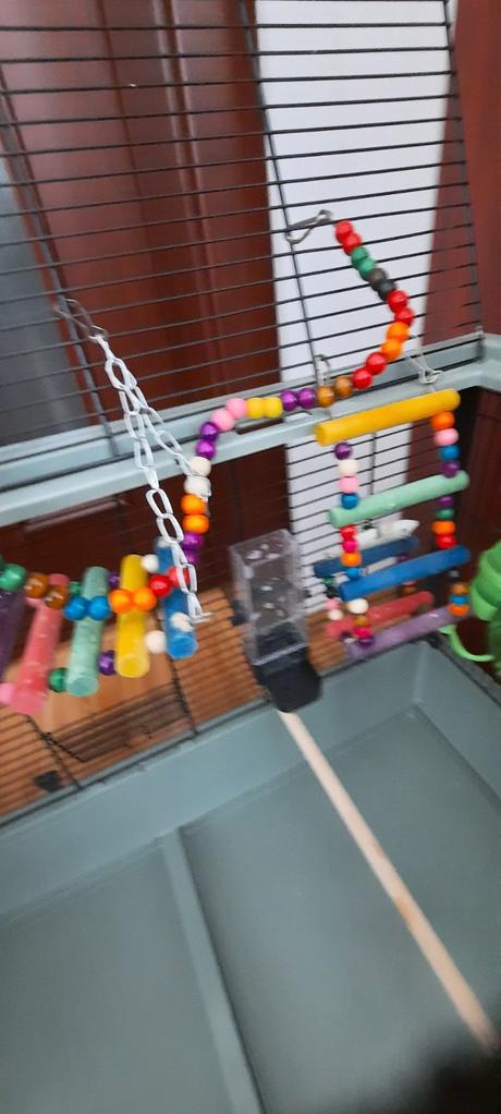 Klietka pre vtaciky, 