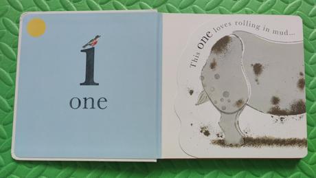 Animal numbers pevná väzba tostav,