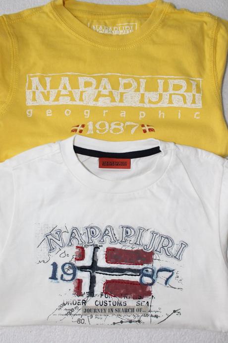 Tričká napapijri, 110