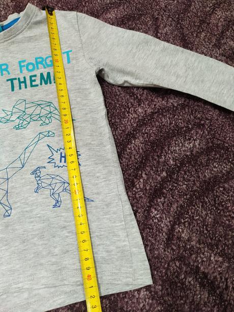 Tričko s dinosaurami, 110