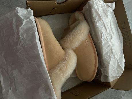 Ugg papuče, ugg,38
