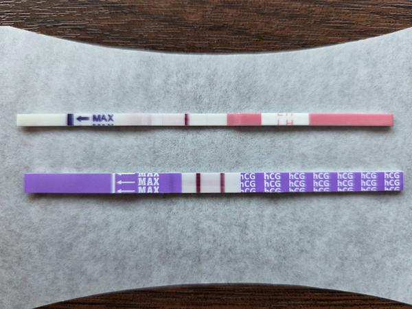 Ovulačný verzus tehotenský test v šiestom týždni