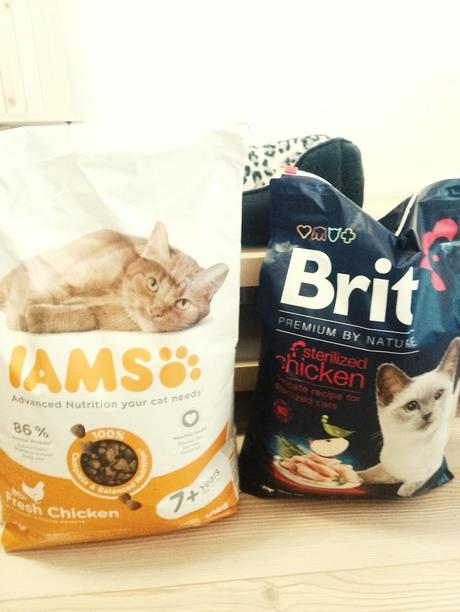 Granule pre mačky 19,7 kg, 