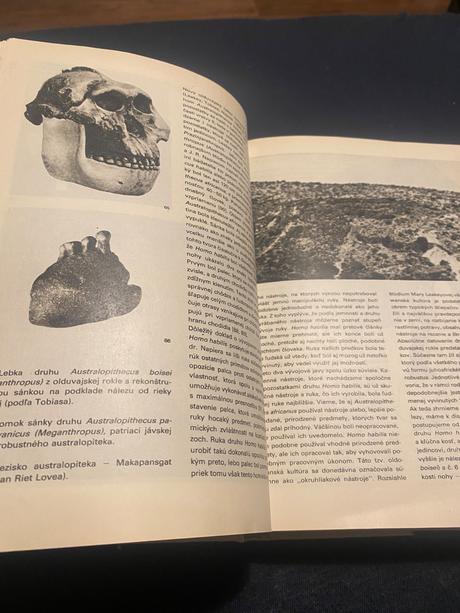Encyklopédiaveľký obrazový atlas pravekého človeka, 