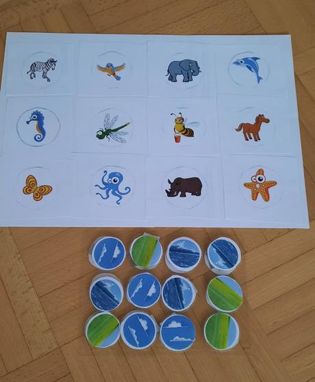 Multifunkčná edukativna pomôcka, 