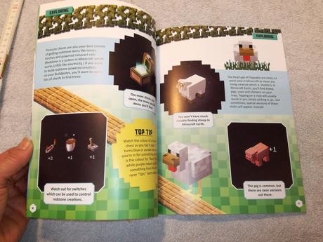 The minecraft earth essential guide nau22, 