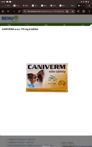 Odčervenie Yorka - rady od veterinára verzus návod