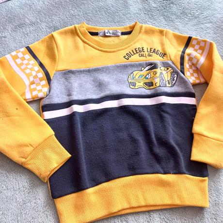 Hrubšia mikina, 116