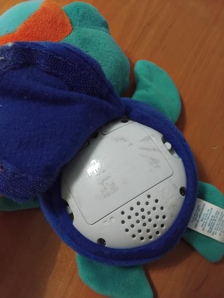 Korytnacka na kočik, 