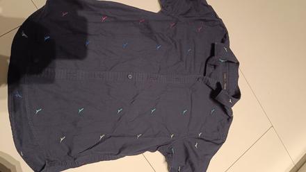 Kosela - dinosaur, next,146