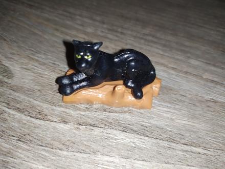 Kinder puma,