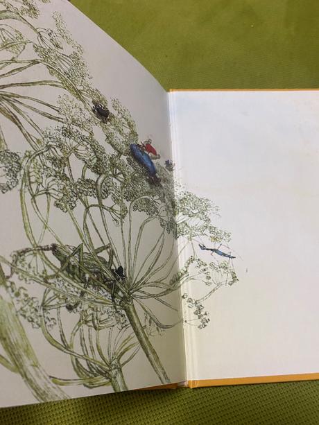 Krásna rozprávková kniha braček z tekvice mária ďu, 