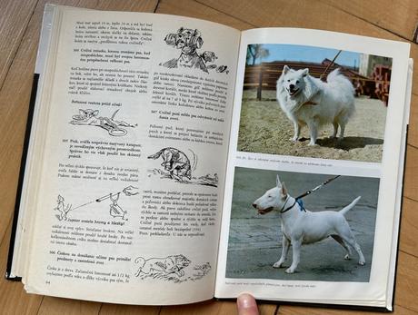 400 rád pre milovníkov psov manfred koch-kostersit,