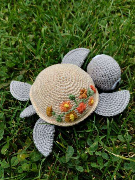 Hackovana korytnacka, 