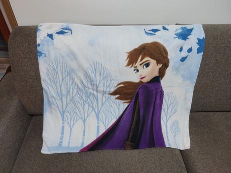 Mikroplyš obliečky frozen, 