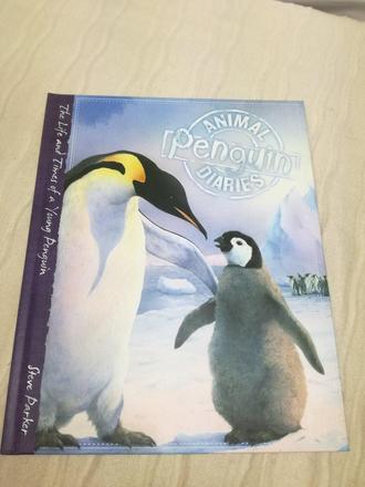 Animal diaries penguin hb nau19,