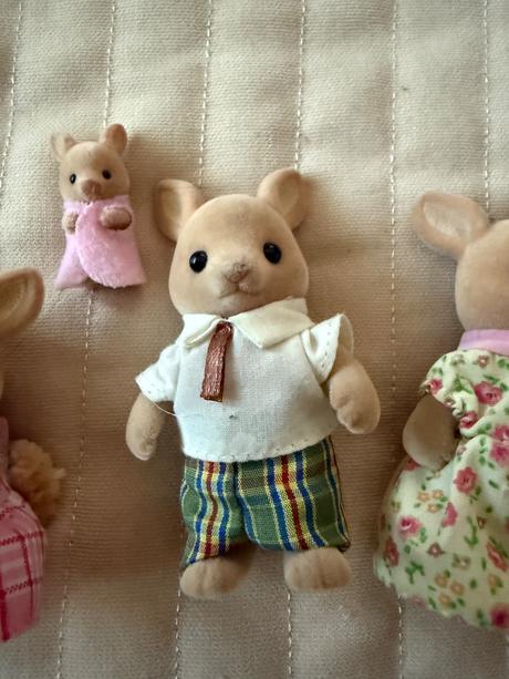 Sylvaniovci kengury,