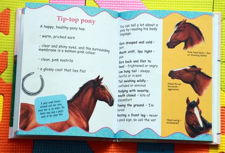 The little book of horses and ponies - 2b,