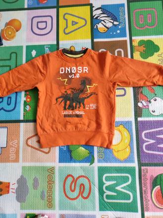 Mikina, authentic,104